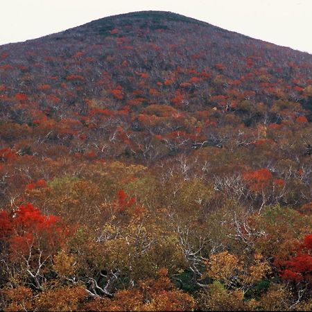 Ny Building 4Th Floor, Guest House Ichibangai, Roo / Vacation Stay 55905 Кітамі Екстер'єр фото